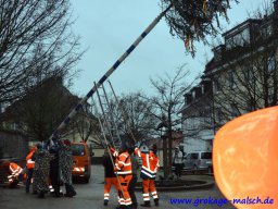 narrenbaum_stellen_10_20160227_1297444940