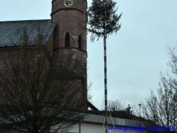 narrenbaum_stellen_11_20160227_1884445510