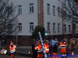 narrenbaum_stellen_8_20160227_1401600393