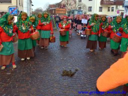 umzug_88_geburtstag_bilder_franz_gerstner_135_20170131_1415309646