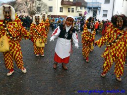 umzug_88_geburtstag_bilder_franz_gerstner_209_20170131_1256373437