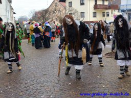 umzug_88_geburtstag_bilder_franz_gerstner_271_20170131_1939592412