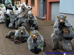 umzug_88_geburtstag_bilder_franz_gerstner_304_20170131_2022884417