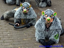 umzug_88_geburtstag_bilder_franz_gerstner_306_20170131_1449073272