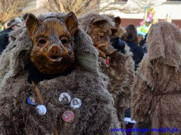 umzug_88_geburtstag_bilder_franz_gerstner_96_20170131_1039953823