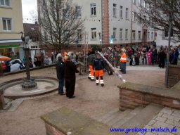 narrenbaum_stellen_12_20170308_1718410338