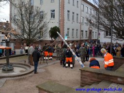 narrenbaum_stellen_15_20170308_1095840813