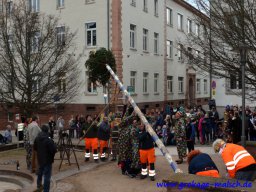 narrenbaum_stellen_16_20170308_1535665207