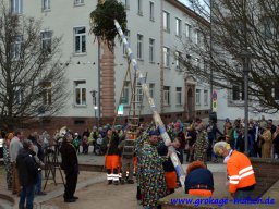 narrenbaum_stellen_18_20170308_1526409715