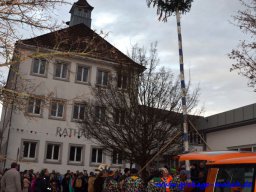 narrenbaum_stellen_23_20170308_1496672012