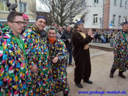 narrenbaum_stellen_24_20170308_1044732291