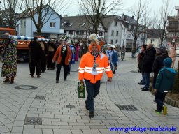 narrenbaum_stellen_14_20180215_1311859619