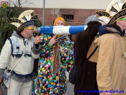 narrenbaum_stellen_19_20180215_1476928006