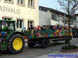 narrenbaum_stellen_1_20180215_2001036603