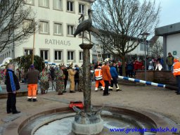 narrenbaum_stellen_23_20180215_1222530053
