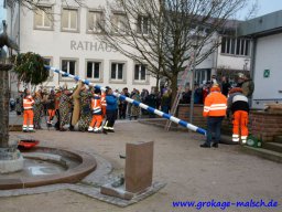 narrenbaum_stellen_25_20180215_1949074893