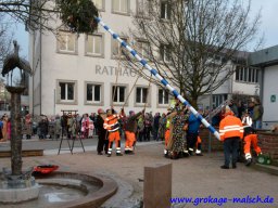narrenbaum_stellen_26_20180215_1194012856