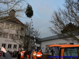 narrenbaum_stellen_27_20180215_1126459813