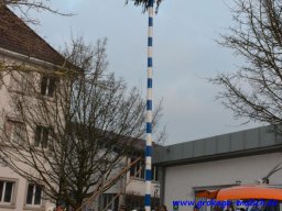 narrenbaum_stellen_28_20180215_1484288065