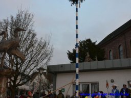 narrenbaum_stellen_29_20180215_2031397489