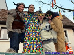 narrenbaum_stellen_5_20180215_1311643051