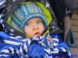 narrenbaum_stellen_8_20180215_1982813980