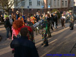 narrenbaum_stellen_11_20190610_1758452301