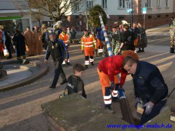 narrenbaum_stellen_12_20190610_1033913727