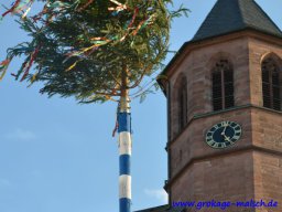 narrenbaum_stellen_21_20190610_2037385272