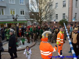 narrenbaum_stellen__16_20200229_2026812692