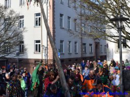 narrenbaum_stellen_14