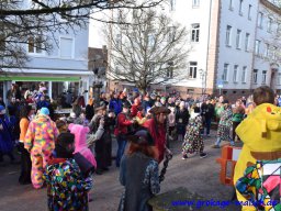 narrenbaum_stellen_16