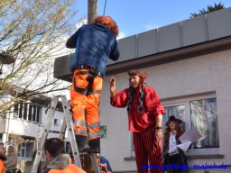 narrenbaum_stellen_19