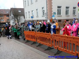 narrenbaum_stellen_09